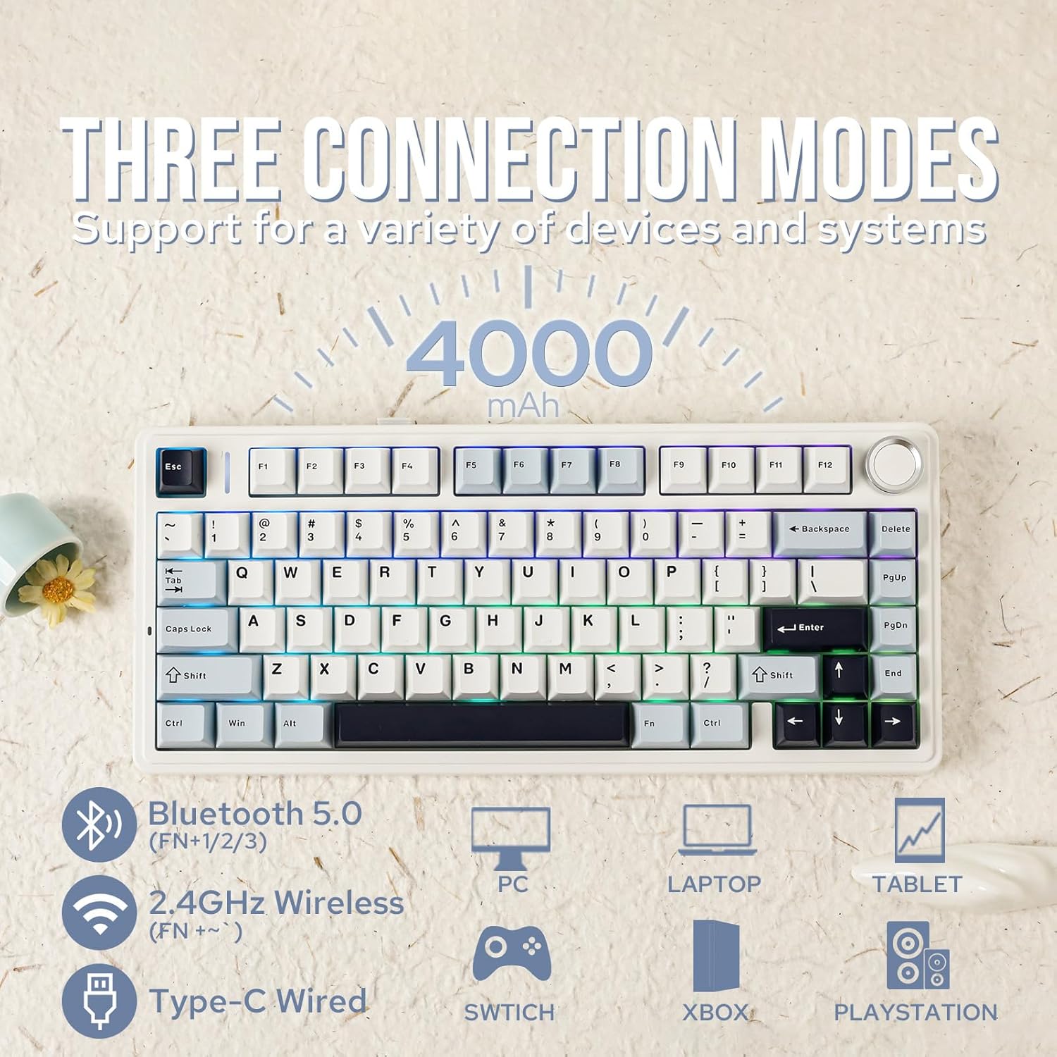 Aula F75 Mechanische Tastatur  – Gaming Keyboard Types Bewertung und Preis