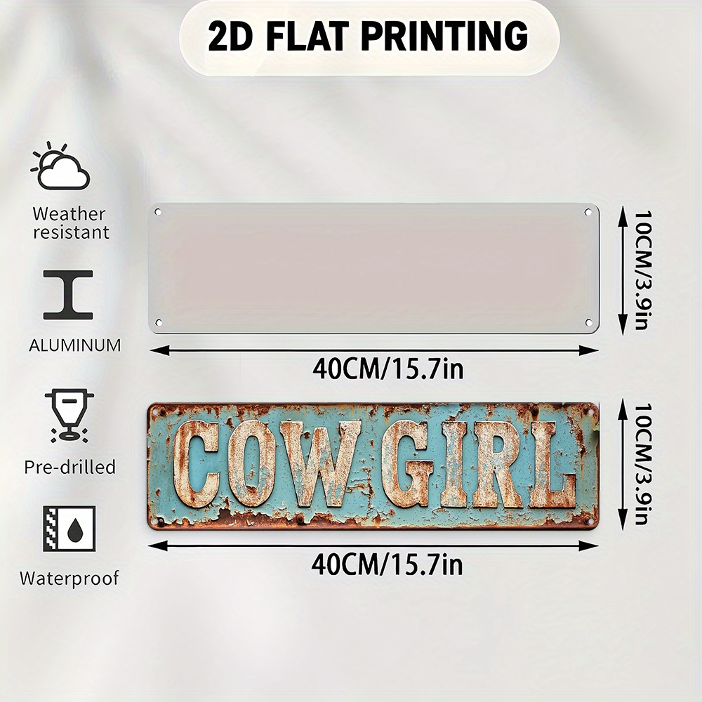 2D Metall-Cowgirl-Wandkunst –  – Brass Weight Plate Bewertung und Preis