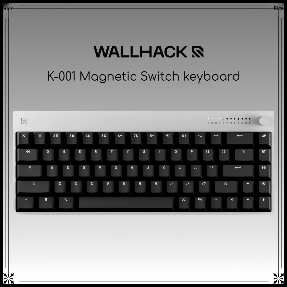 WALLHACK K-001 Hall-Effekt-Mag – Gaming Keyboard Hall Effect Switches Bewertung und Preis